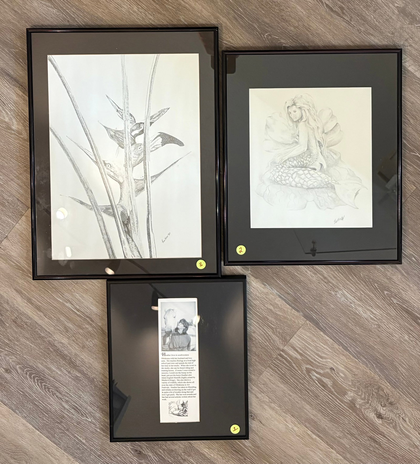 Fine-Line Graphite Framed Pencil Sketches - Artist Heather Frost (1 of 6)
