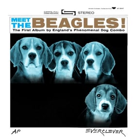 Meet the Beagles