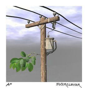 Memory of a Tree