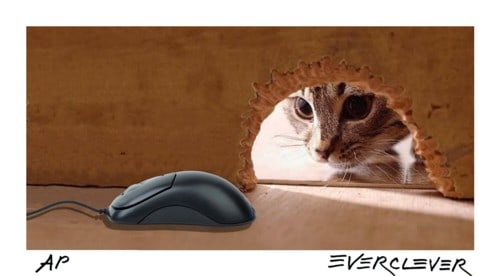 Cat & Mouse