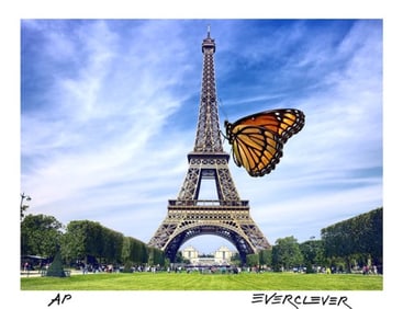 World Traveler
