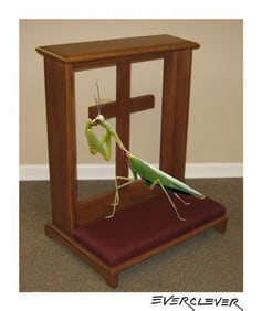 Praying Mantis