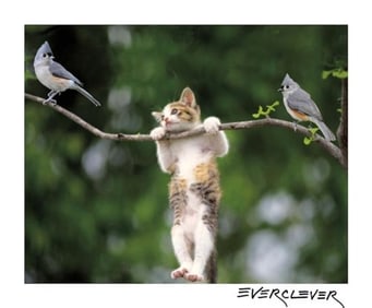 Cute Picture with an Undisclosed Naughty Title