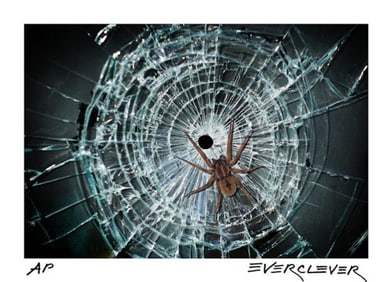 The Web