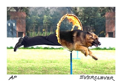 An Old Dog's New Tricks