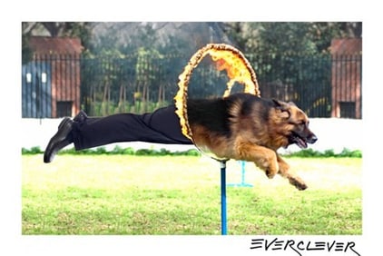 An Old Dog's New Tricks