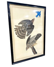 J. J. Audobon, England, 1785-1851. re-print