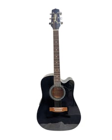 Acoustic Electric Takamine Guitar