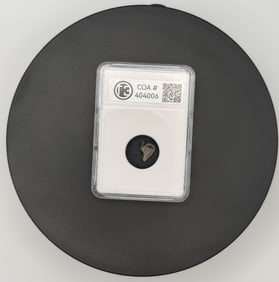 Meteorite: Campo del Cielo Meteorite - Compact Display Card