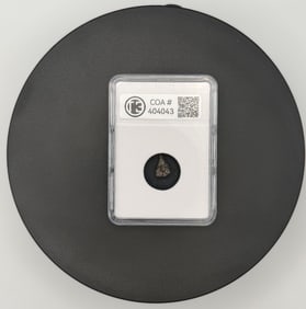 Meteorite: Campo del Cielo Meteorite - Compact Display Card
