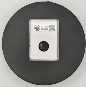 Meteorite: Campo del Cielo Meteorite - Compact Display Card