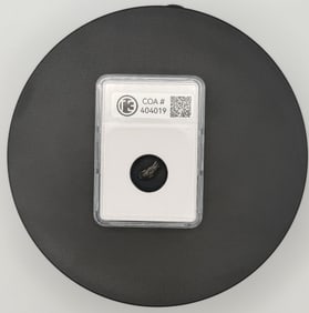 Meteorite: Campo del Cielo Meteorite - Compact Display Card