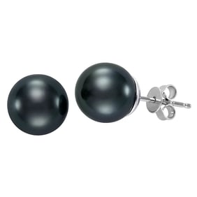 Tahitian Cultured 9-9.5mm Pearl 14kt White Gold Earrings