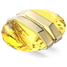 Swarovski - Swarovski Women's Earring 5613552
