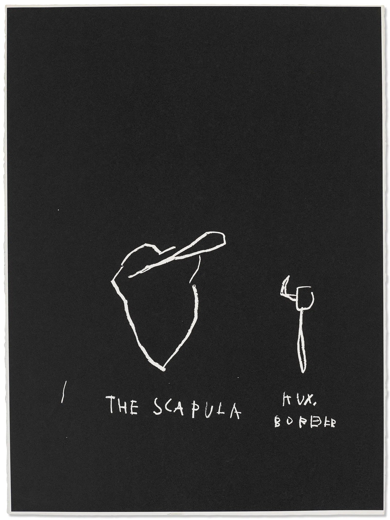 JEAN-MICHEL BASQUIAT (1960-1988) The Scapula, from Anatomy, After: print, 1982, New York, the full sheet, in generally very good condition ,Measures 30 x 22 ¼ inches after Basquiat