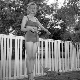 Marilyn Monroe Photo
