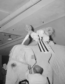 Ed Feingersh Marilyn Monroe Photo