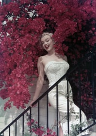Marilyn Monroe Photo