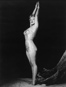 Marilyn Monroe Photo