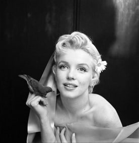 Marilyn Monroe Photo