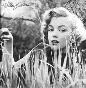 Don Ornitz Marilyn Monroe Photo