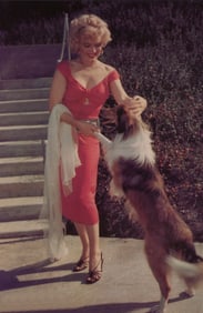 Lani Carlson Marilyn Monroe Photo