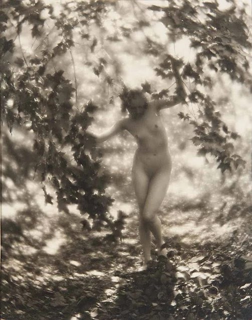 Cook, Charles J. Weibliche Akte in der Natur. Ca: Photo print, measures 8 x 10 inches, mounted to foam board