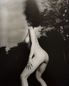 Hideki Fujii, Masterful Boudoir,