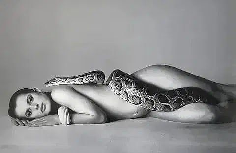 Richard Avedon - Nastassja Kinski, LA, glossy print: RICHARD AVEDON Nastassja Kinski, Los Angeles, California, 1981 , glossy print , printed later Measures 23 1/2" x 35 1/2"