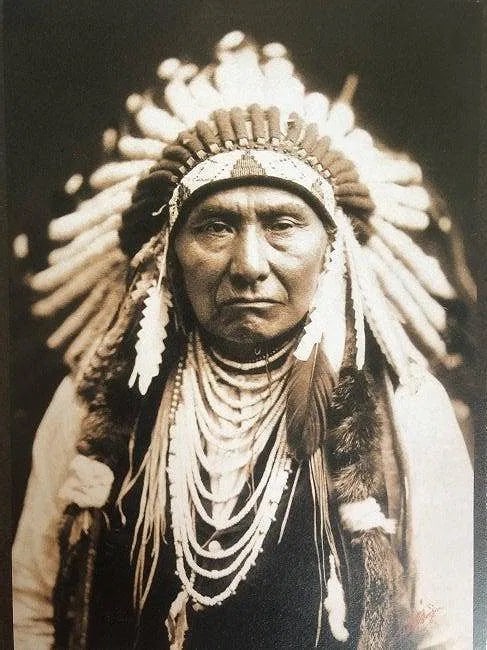 Edward Curtis - Chief Joseph - Nez Perce, 1903 (1 of 1)
