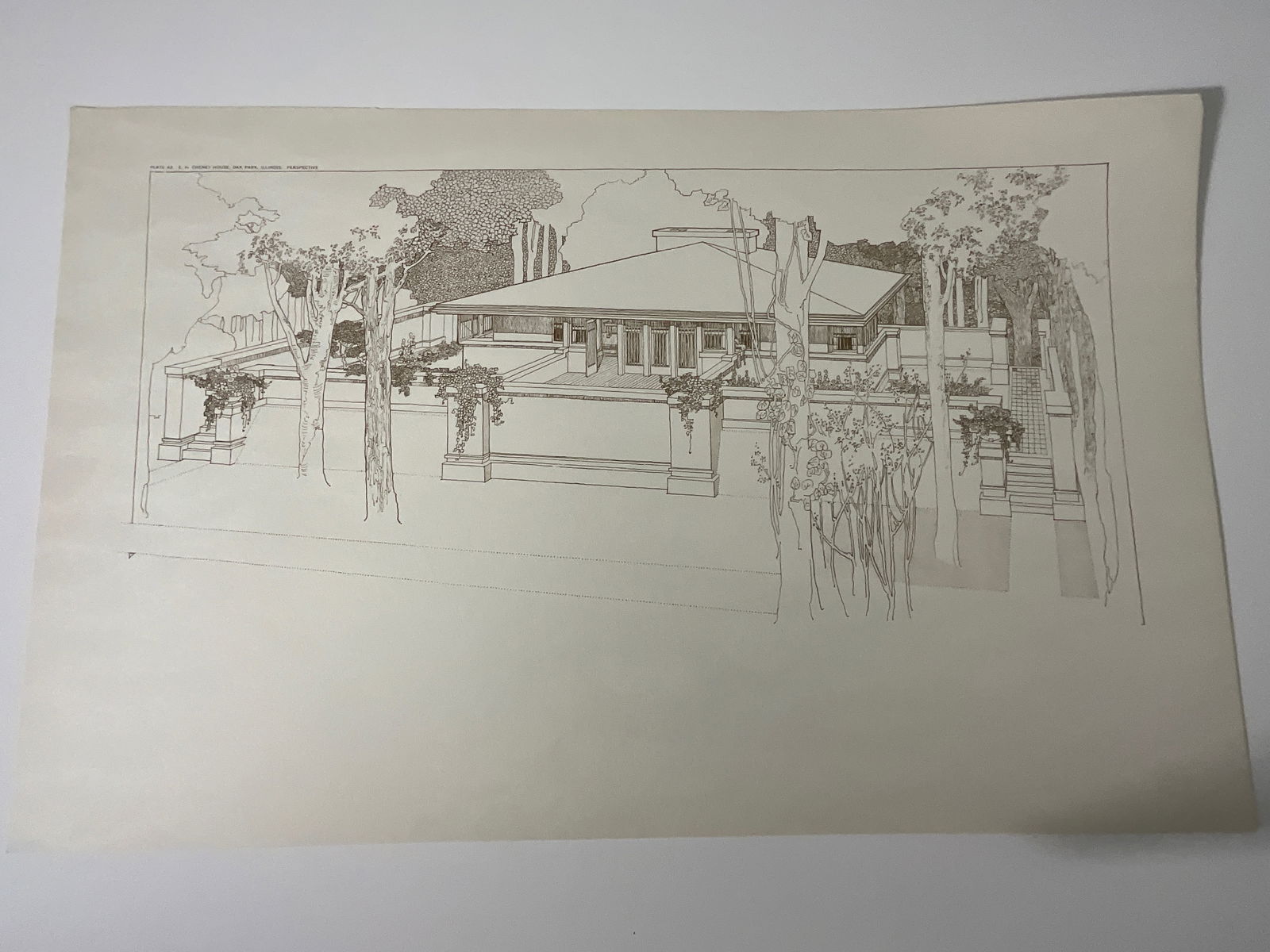 Frank Lloyd Wright 1963 print (1 of 1)