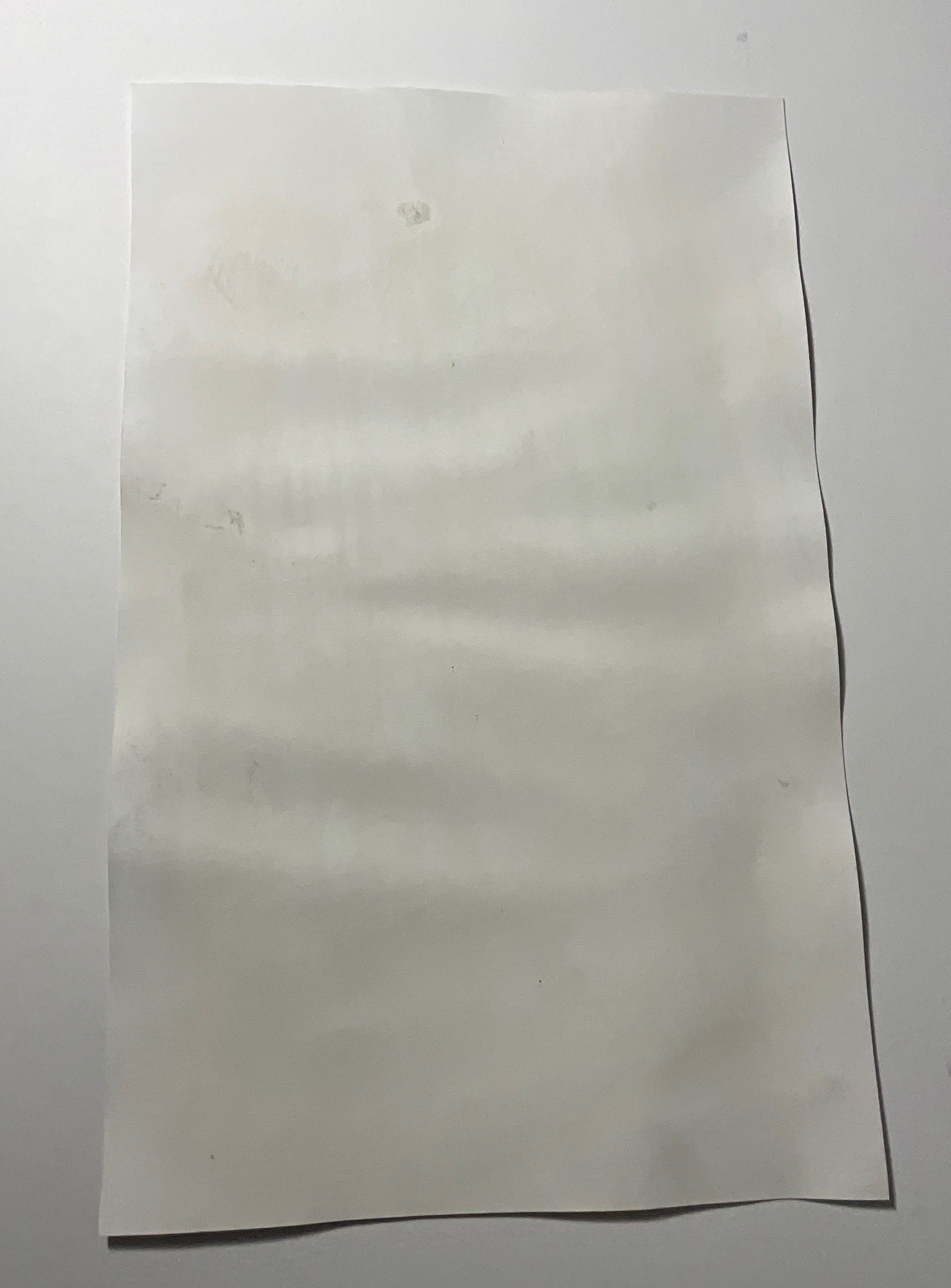 David Hockney Gregory loading his camera print - 5