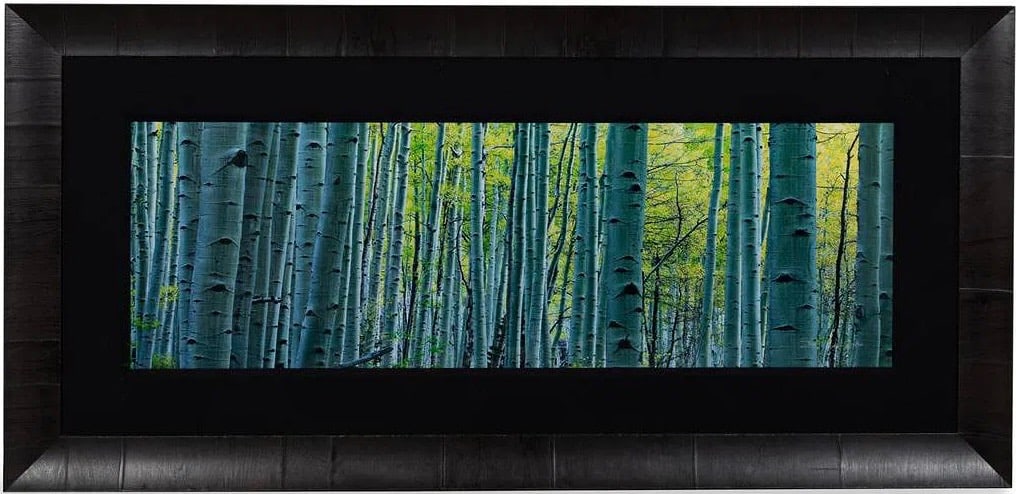PETER LIK, "ENDLESS BIRCHES", PHOTOGRAPH, (1 of 3)