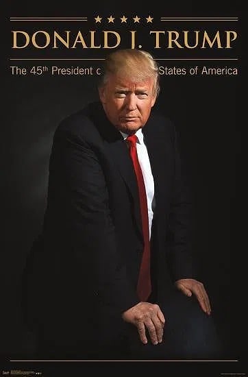 Donald Trump offset lithograph: Measures 22 x 34 inches