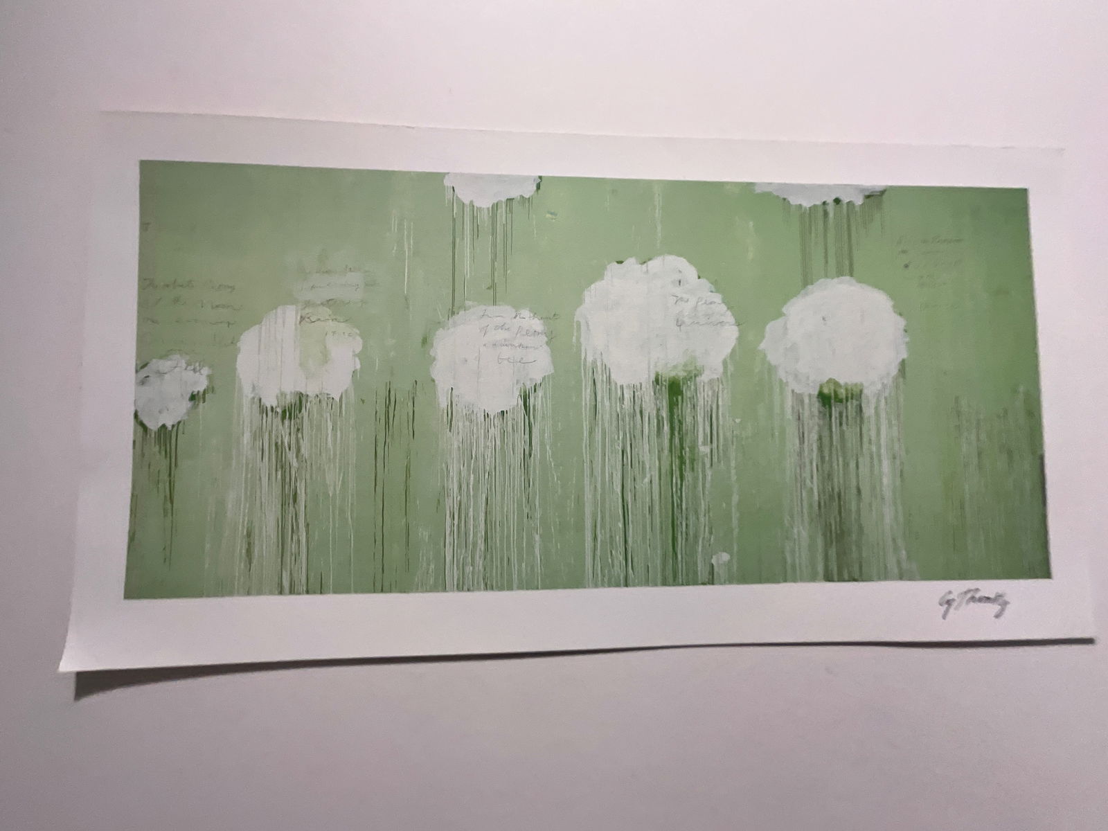 Cy Twombly Peony Blossom print (1 of 3)