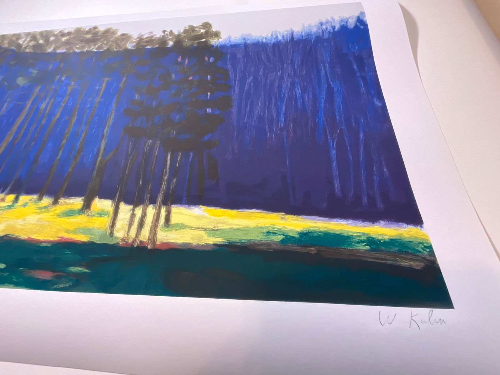 Wolf Kahn Dark Pines, 2001 - 3