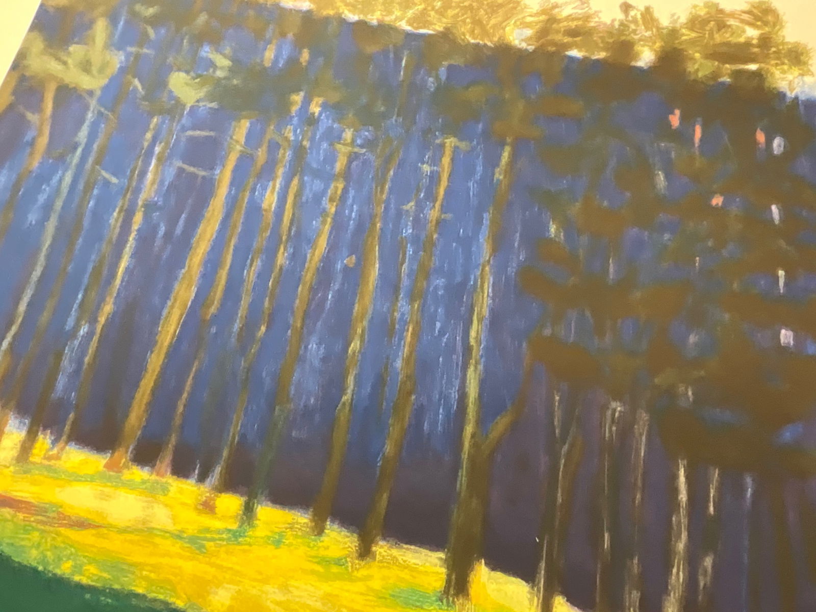 Wolf Kahn Dark Pines, 2001 - 8