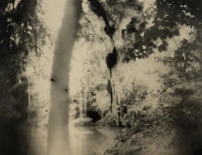 Sally Mann - Deep South, Untitled (Three Drips) 1998 (1 of 1)