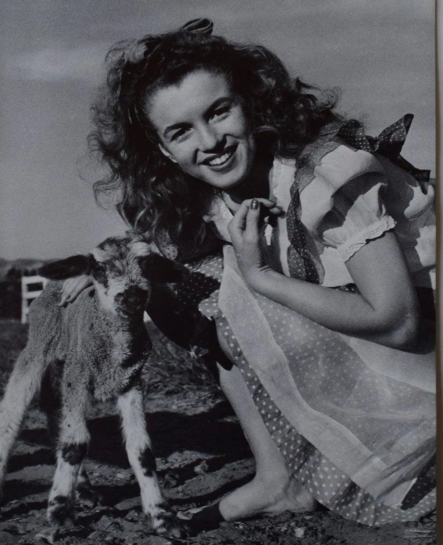 Andre de Dienes - Marilyn Monroe: ANDRE DE DIENES (1913-1985), Marilyn Monroe, Photogravure c.1985, Printed in America, 12" x 9 1/2", Mounted to archival board