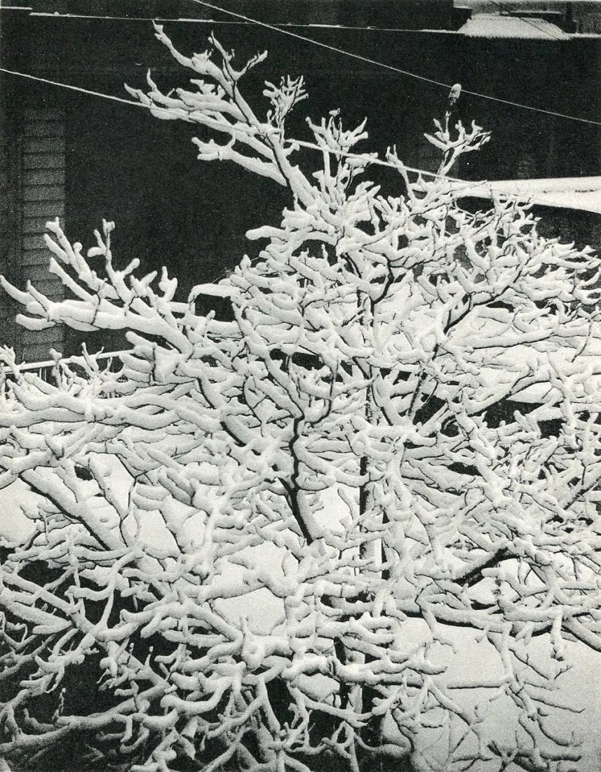 Stieglitz, Alfred - From The Window - 291, 1915: Vintage Collotype printed in 1958. A pivotal early modernist view of Manhattan. Image size: approx. 7.5" x 10"., Mounted to archival board