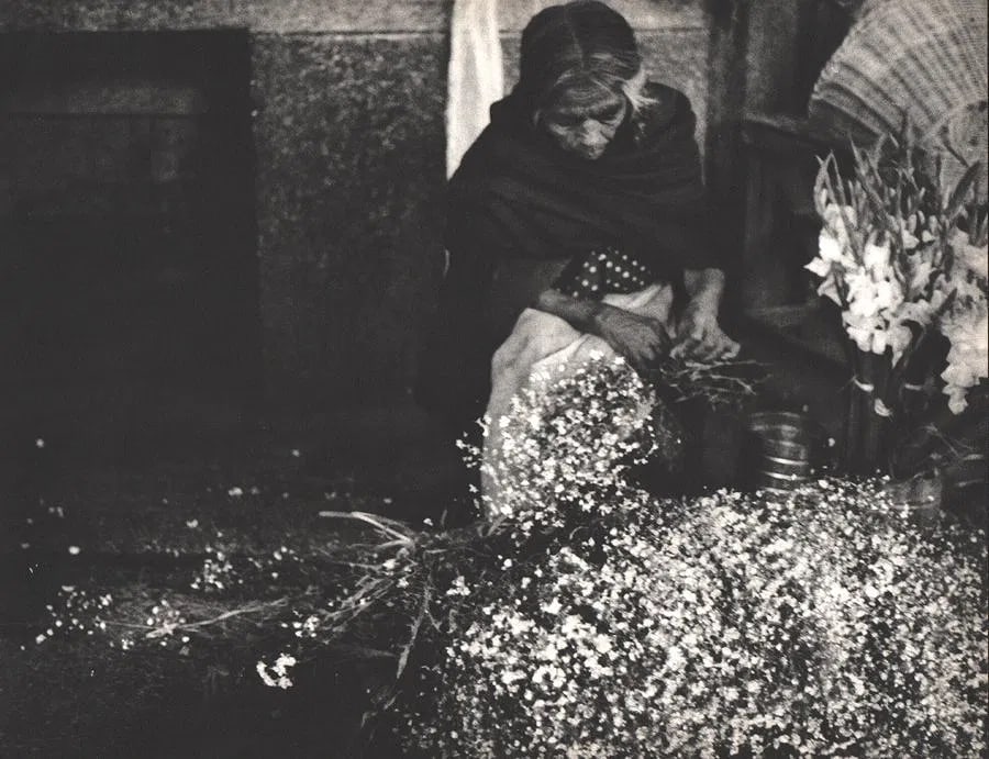 Dorr, Nell - Flowers - Oaxaca: Vintage Sheet-fed Gravure printed in 1962. Soft-focus botanical study from Mexico. Image size: approx. 10" x 13"., Mounted to archival board