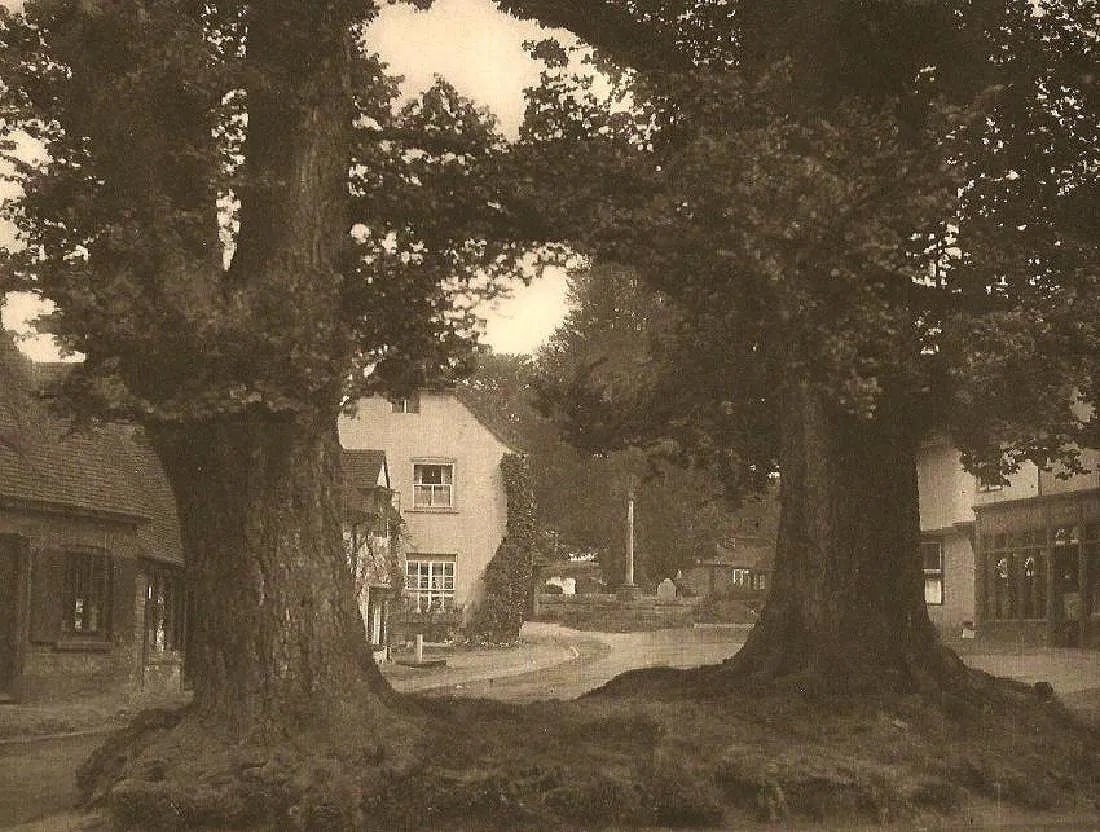 E.O. Hoppe - Shere, Surrey: Vintage Photogravure printed in the 1920s. Traditional English village scene. Image size: approx. 7" x 9"., Mounted to archival board