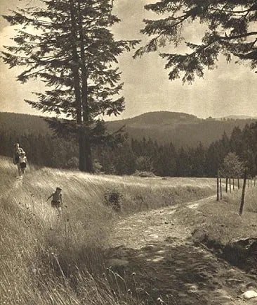Vilem Heckel - Children In The Fields Of Beskydy: Vintage Sheet-fed Gravure. Rural Czech documentary capture. Image size: approx. 9" x 12"., Mounted to archival board