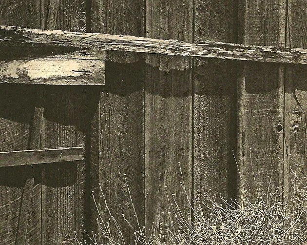 Adams, Ansel - Old Fence: Vintage Sheet-fed Gravure. Tonal texture study of weathered wood and wire. Image size: approx. 7.5" x 9.5"., Mounted to archival board