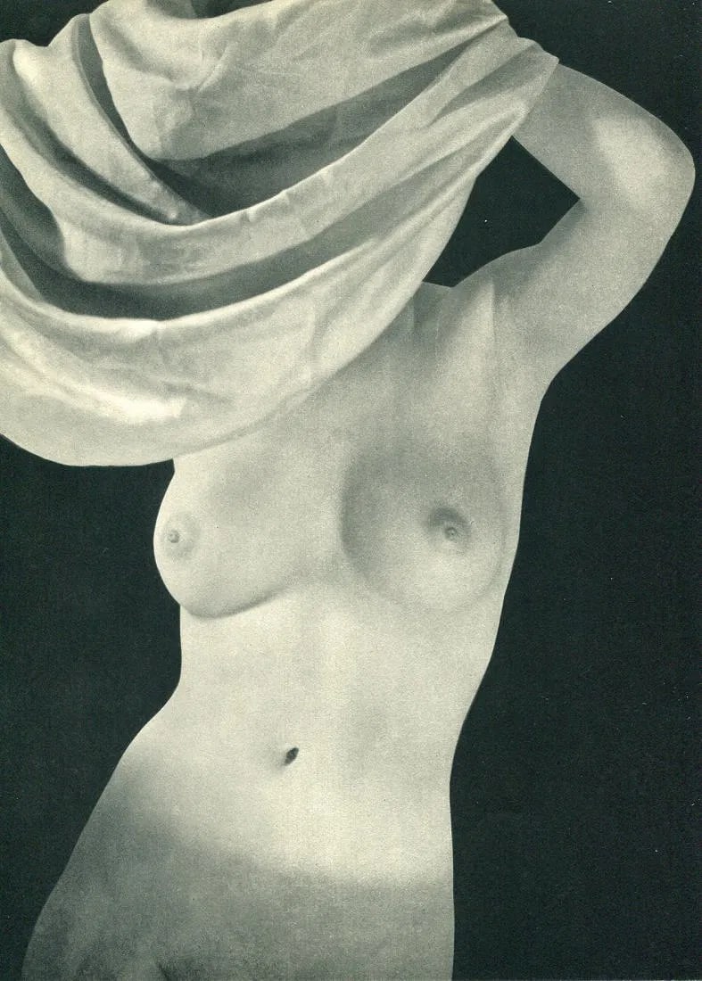 Lohse, Remie - Nude Torso: Vintage Sheet-fed Gravure printed in 1930s. Athletic figure study. Image size: approx. 8.5" x 11"., Mounted to archival board