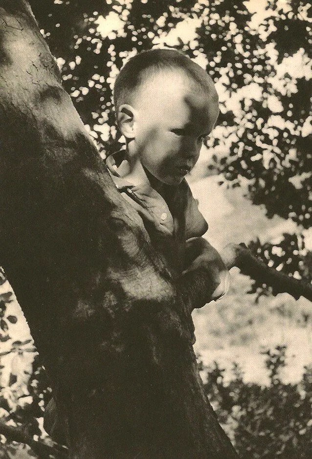 Miller, Wayne - Boy In Tree: Vintage Sheet-fed Gravure. Humanist documentary study. Image size: approx. 8" x 11"., Mounted to archival board