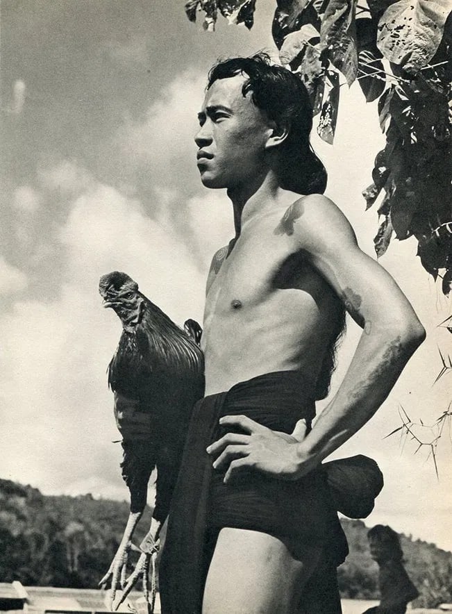 Wong, K F (Nude) - Young Iban Man - Borneo: Vintage Sheet-fed Gravure. Exceptional ethnographic documentation of Sarawak. Image size: approx. 8.5" x 11"., Mounted to archival board