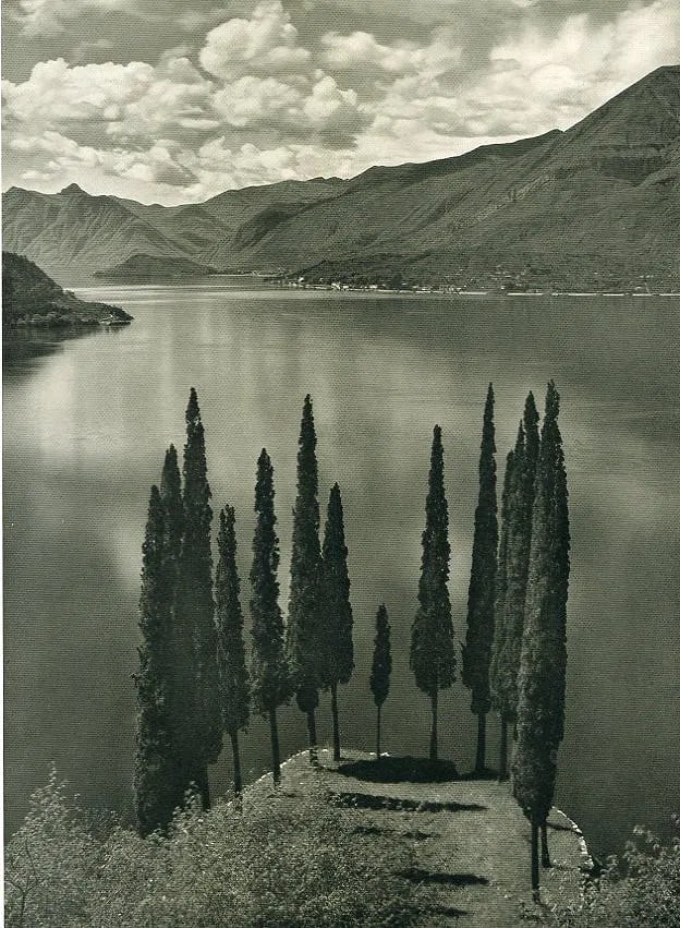 Albert Steiner - Zypressen Am Comer See: Vintage Photogravure printed in the 1920s. A classic Alpine landscape. Image size: approx. 7" x 9.5"., Mounted to archival board