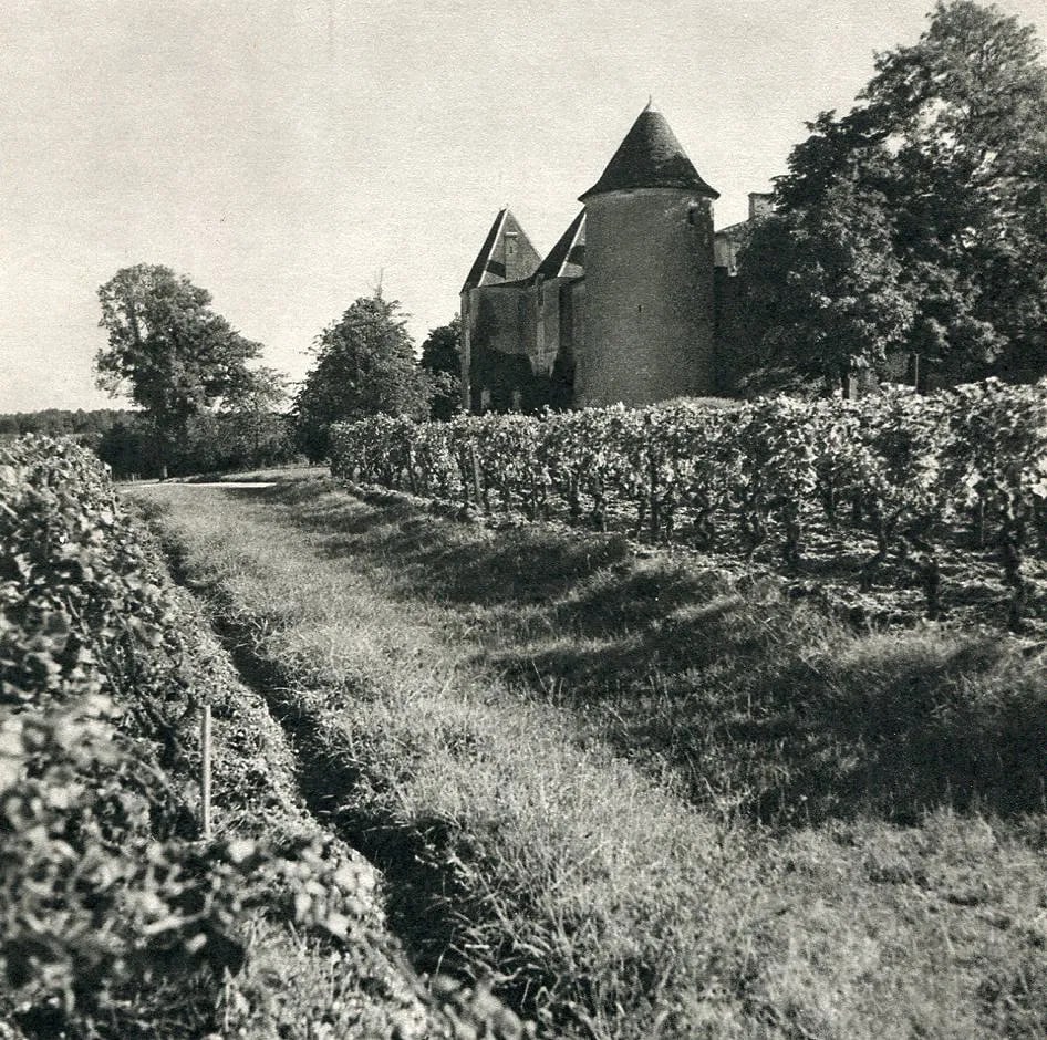 Roger Schall - Les Vignobles Du Chateau-Yquem: Vintage Sheet-fed Gravure. French vineyard landscape. Image size: approx. 8.5" x 11"., Mounted to archival board