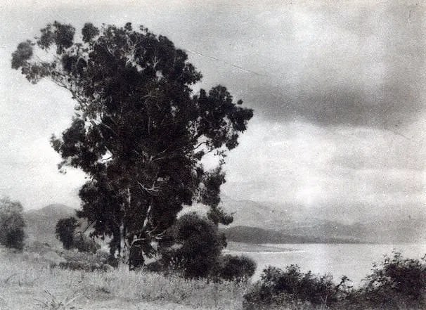 Harry Abbott - Landscape: Vintage Sheet-fed Gravure. Classic 1930s rural landscape. Image size: approx. 8" x 10.5"., Mounted to archival board